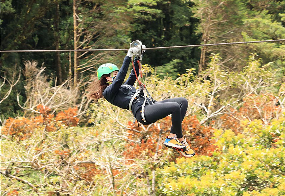 Jungle Ziplining