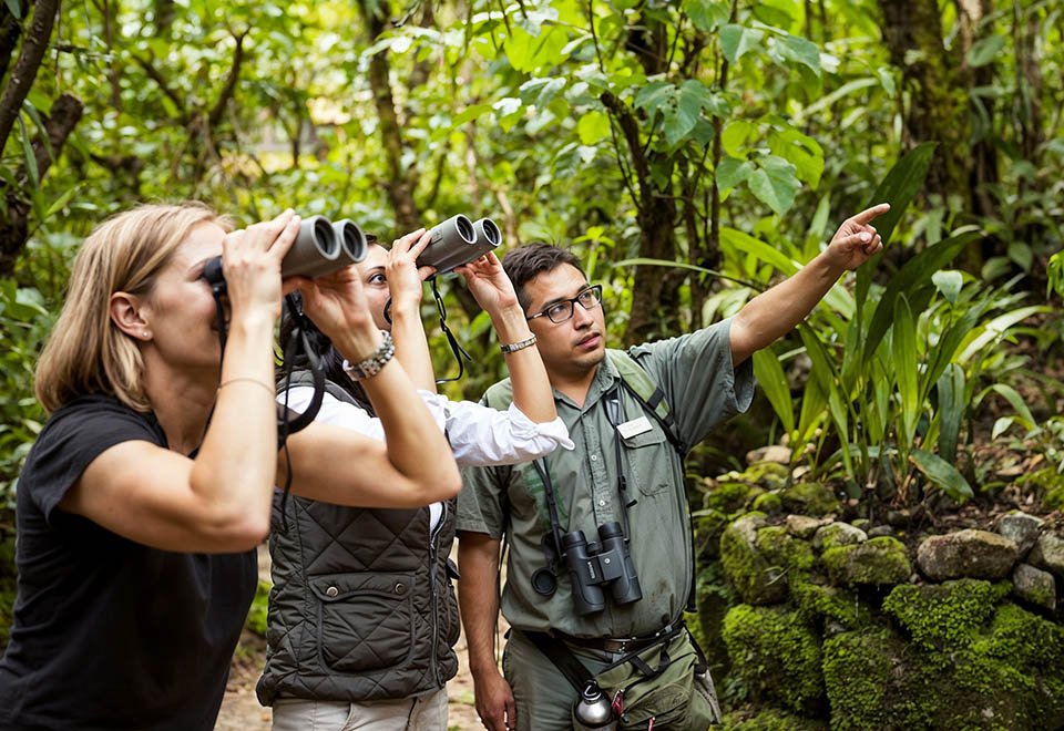 Ecotourism Tours