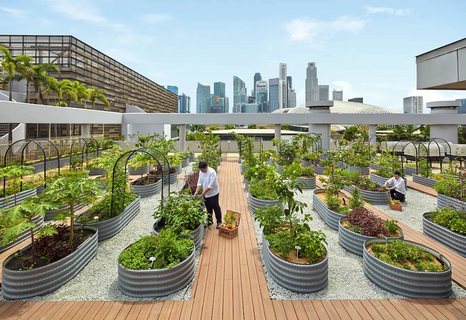 Sustainable Garden